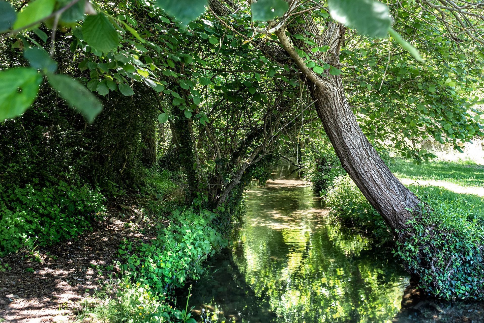 La naturaleza en Frías
