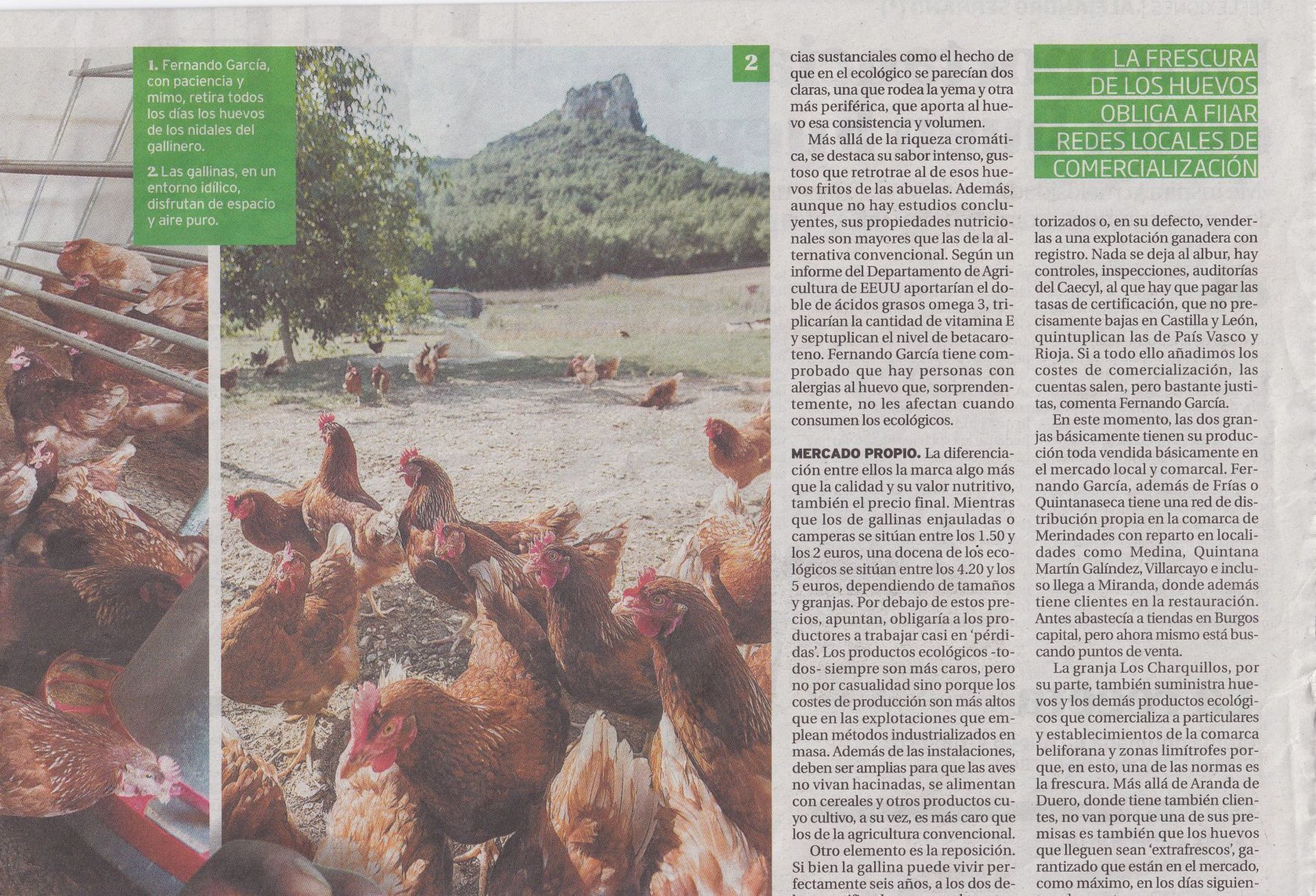 Fernando García y su empresa avícola en Quintanaseca, Frías