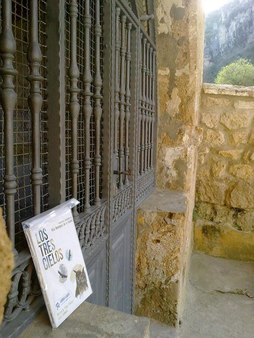 El BookCrossing llega a Frías