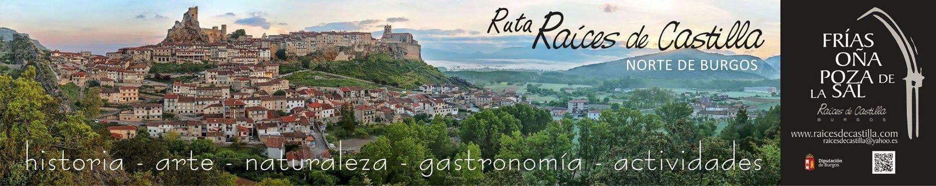 Raices de Castilla (Frías-Oña y Poza) por las calles de Zaragoza