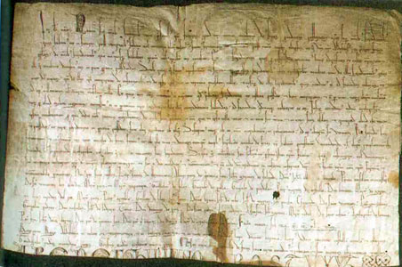 hoja