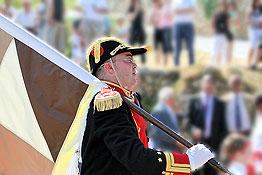 Fiesta del Capitán